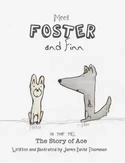foster and finn book cover image