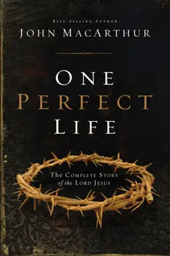 one perfect life book cover image