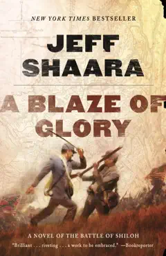 a blaze of glory book cover image