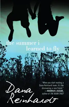 the summer i learned to fly book cover image