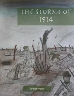 the storm of 1914 book cover image