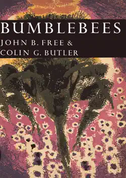 bumblebees book cover image