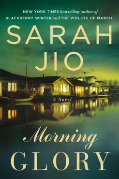 morning glory book cover image