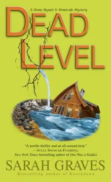 dead level book cover image