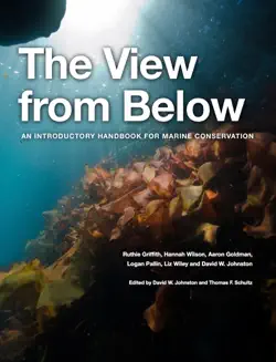 the view from below book cover image