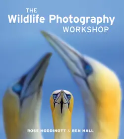 the wildlife photography workshop book cover image