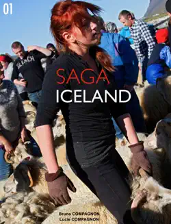saga iceland book cover image