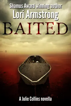 baited book cover image