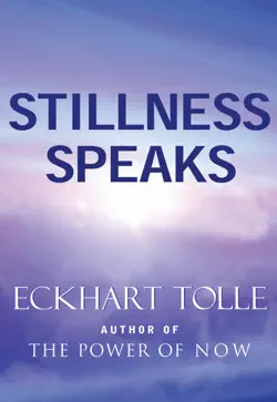 stillness speaks book cover image
