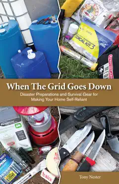when the grid goes down book cover image