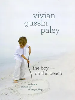 the boy on the beach book cover image