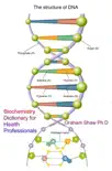 Biochemistry Dictionary for Health Professionals synopsis, comments
