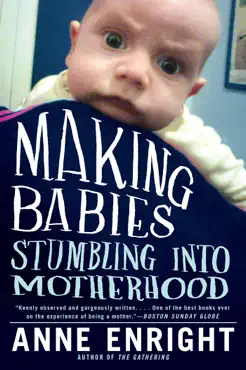 making babies: stumbling into motherhood book cover image