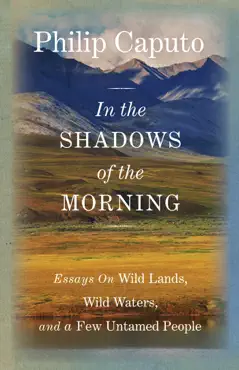 in the shadows of the morning book cover image