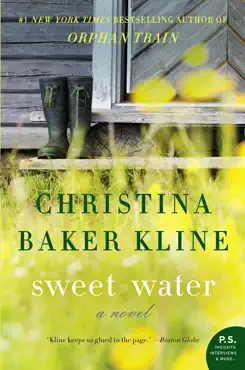 sweet water book cover image
