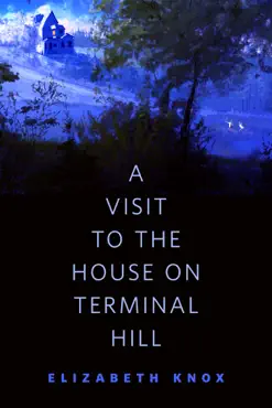 a visit to the house on terminal hill book cover image