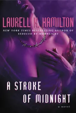 a stroke of midnight book cover image