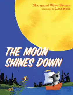 the moon shines down book cover image