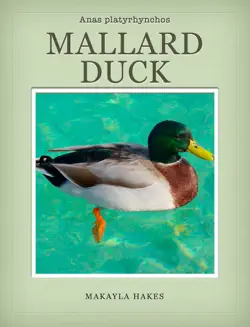 mallard duck book cover image