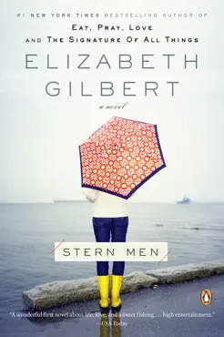 stern men book cover image