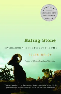 eating stone book cover image