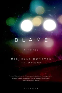 blame book cover image