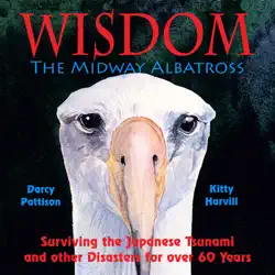 wisdom, the midway albatross book cover image