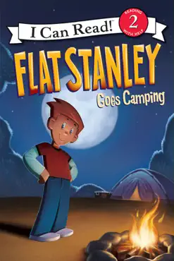 flat stanley goes camping book cover image