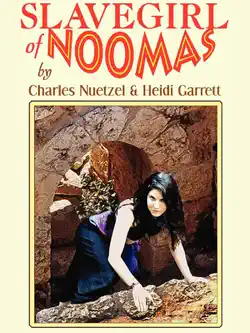 slavegirl of noomas book cover image