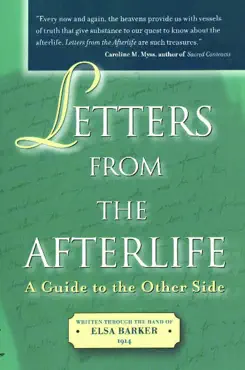 letters from the afterlife book cover image
