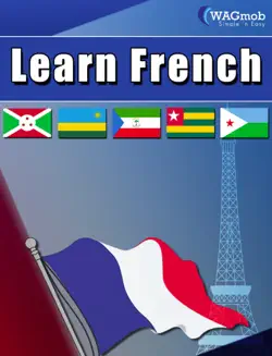 learn french book cover image