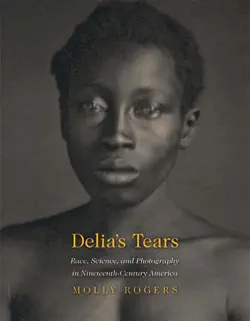 delia's tears book cover image