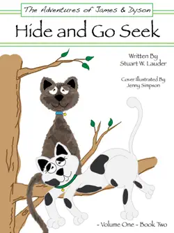 hide and go seek imagen de la portada del libro