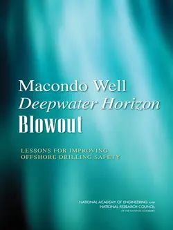 macondo well deepwater horizon blowout book cover image
