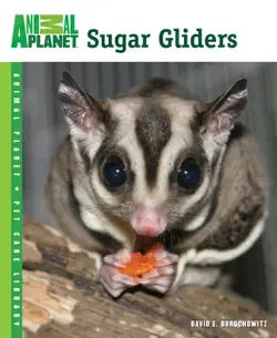 sugar gliders book cover image