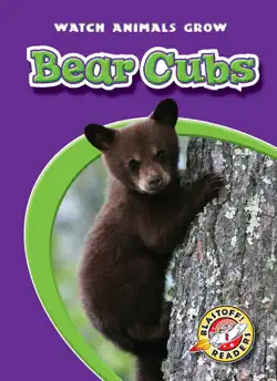 bear cubs book cover image