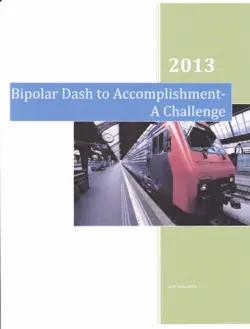 bipolar manic dash to accomplishment-a challenge book cover image