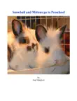 Snowball and Mittens go to Preschool synopsis, comments