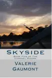 Skyside synopsis, comments