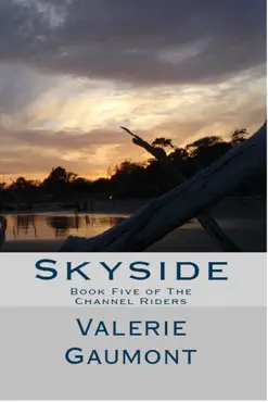 skyside book cover image