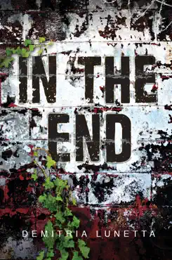 in the end book cover image