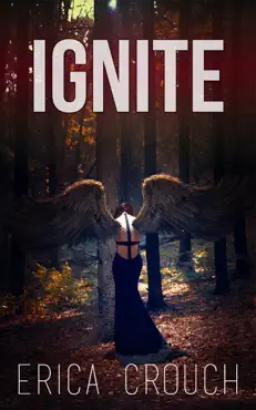 ignite book cover image