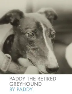 paddy the retired greyhound book cover image