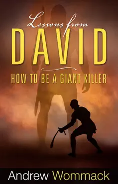 lessons from david book cover image