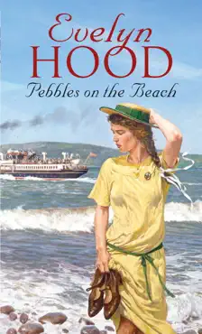 pebbles on the beach imagen de la portada del libro