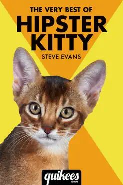 the very best of hipster kitty book cover image