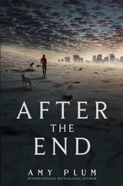 after the end book cover image