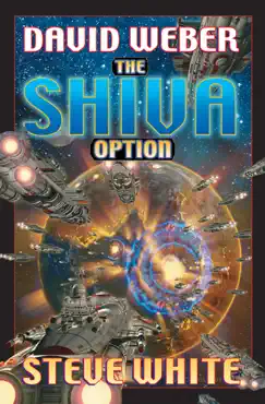 the shiva option book cover image