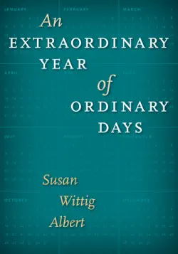 an extraordinary year of ordinary days book cover image