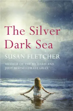 the silver dark sea book cover image